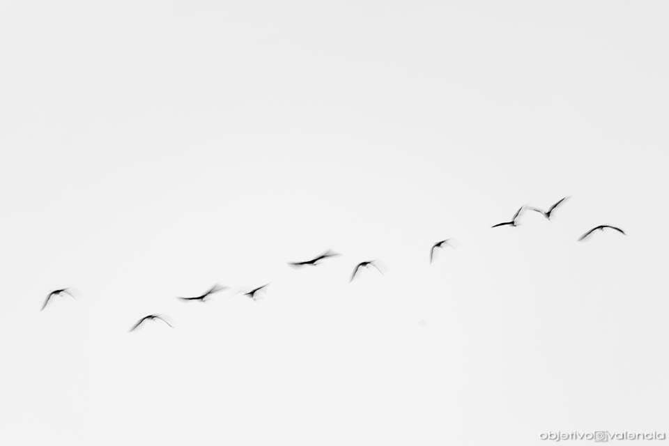 curso-fotografia-tecnica-creativa-2.jpg