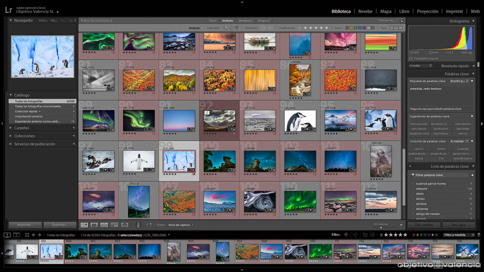 lightroom-captureone-2.jpg