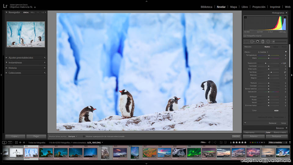 lightroom-captureone.jpg