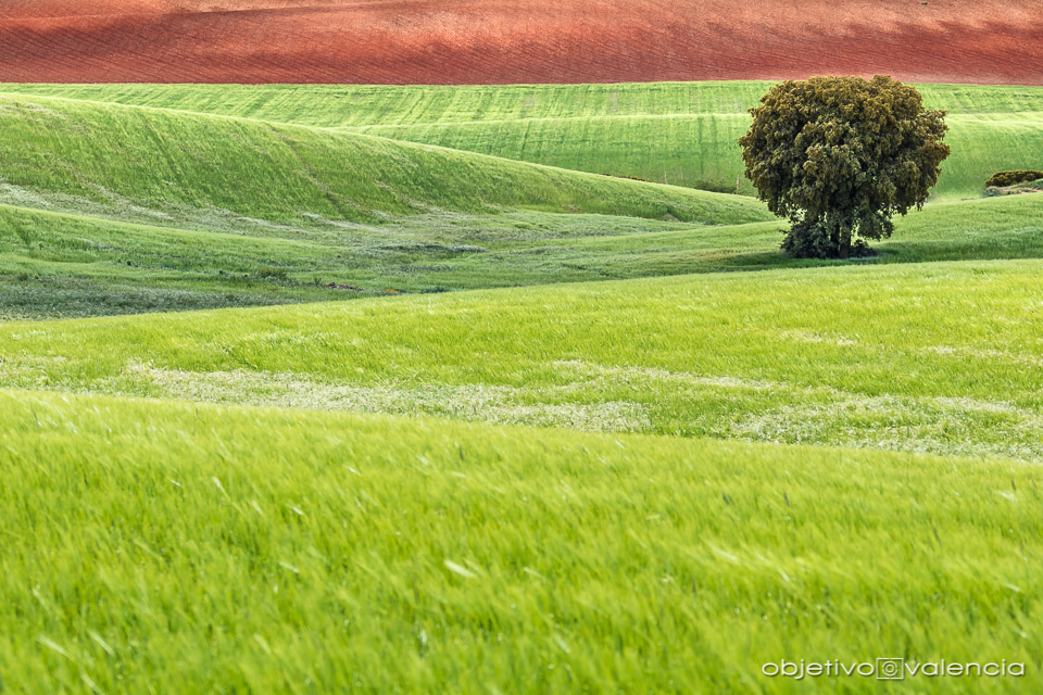 taller-creatividad-composicion-lamancha-cuenca-11.jpg