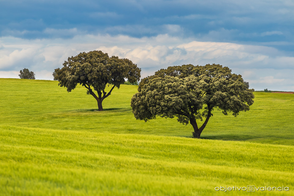 taller-creatividad-composicion-lamancha-cuenca-12.jpg