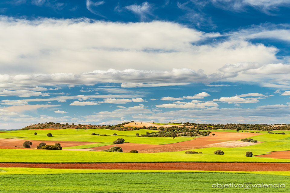 taller-creatividad-composicion-lamancha-cuenca-14.jpg