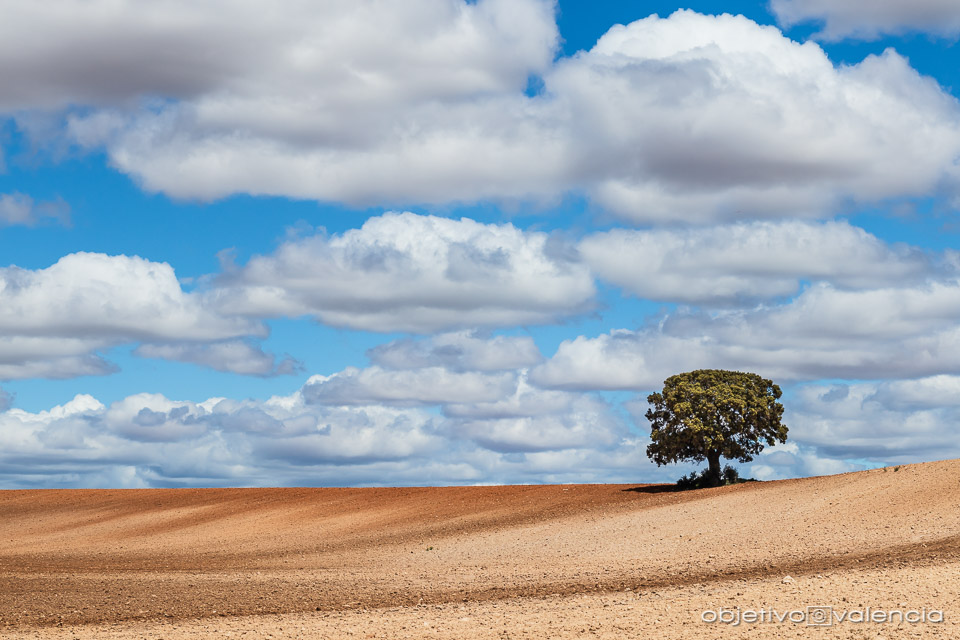 taller-creatividad-composicion-lamancha-cuenca-17.jpg