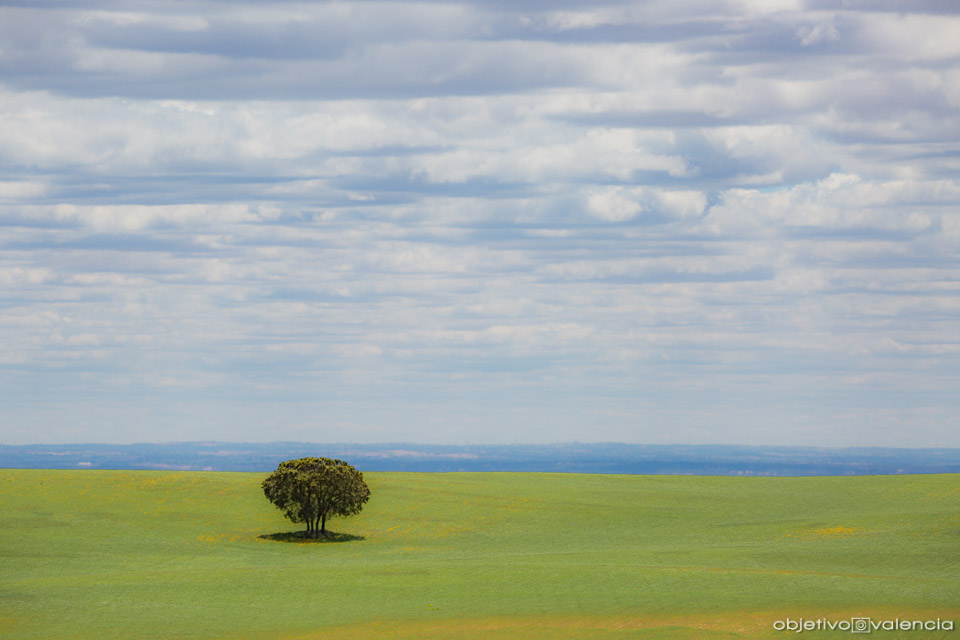 taller-creatividad-composicion-lamancha-cuenca-22.jpg