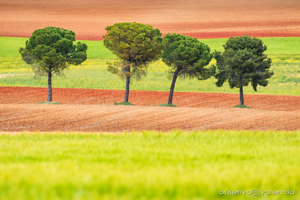 taller-creatividad-composicion-lamancha-cuenca-8.jpg