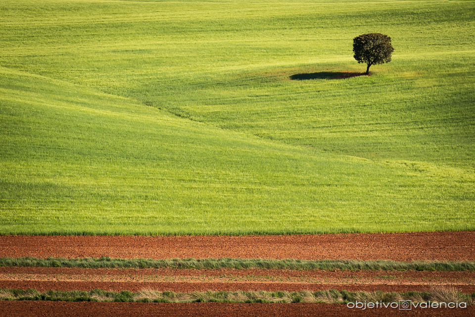 taller-creatividad-composicion-lamancha-cuenca-9.jpg
