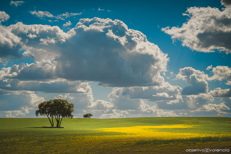taller-fotografia-paisaje-rural-lamancha-2.jpg