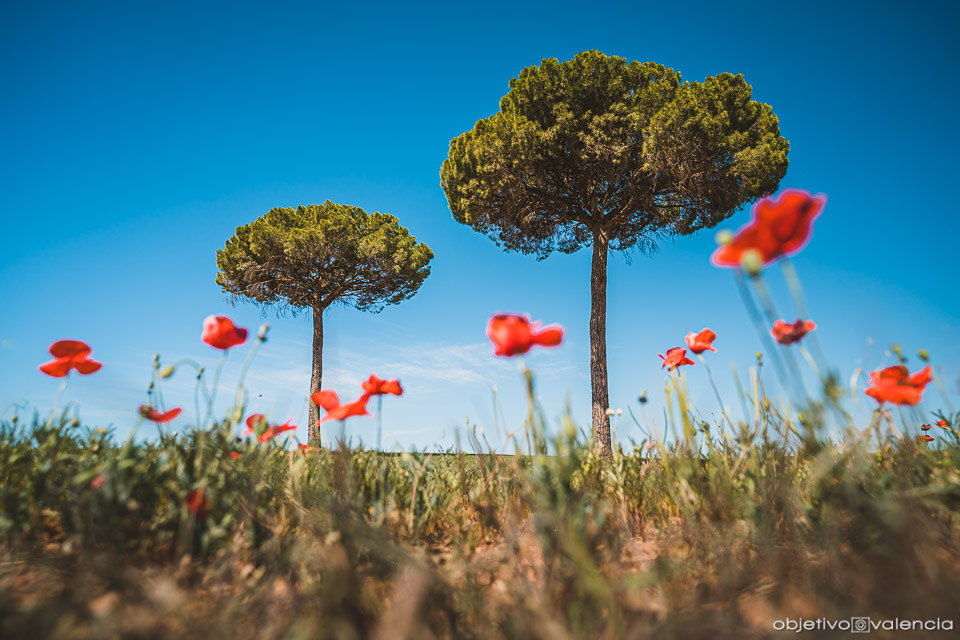 taller-fotografia-paisaje-rural-lamancha.jpg