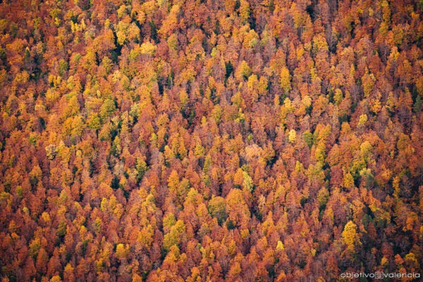 Taller fotográfico de otoño en Ordesa (Pirineos)
