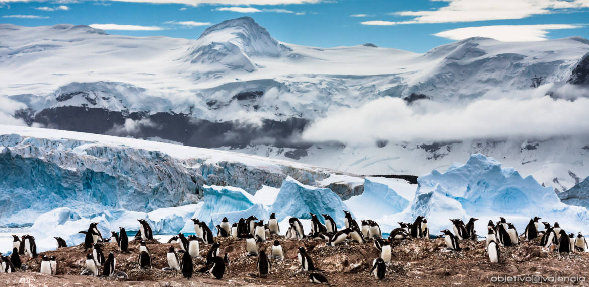 viaje-antartida-antarctica-fotografico-1.jpg