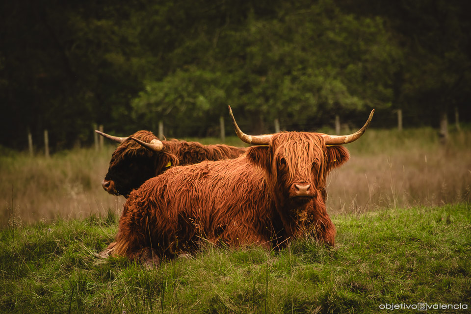 viaje-fotografico-escocia-highlands-18