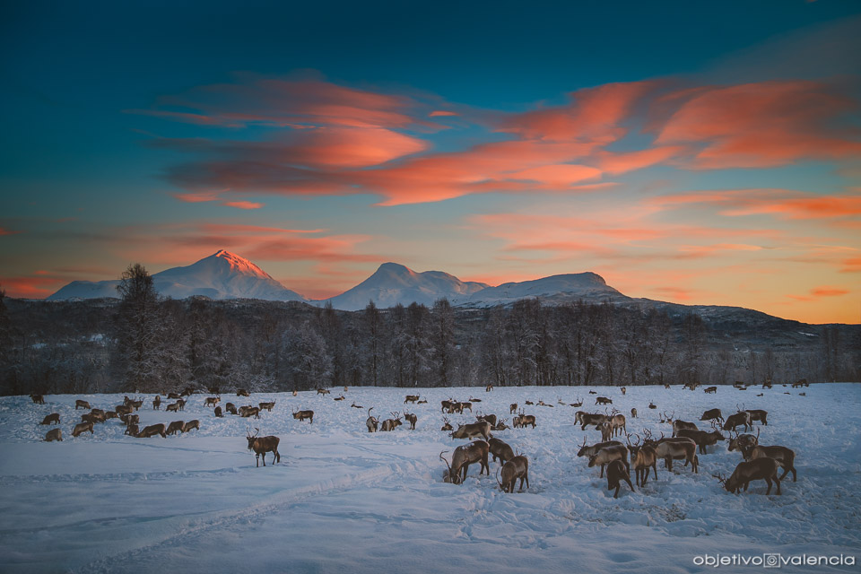 viaje-fotografico-senja-lyngen-noruega
