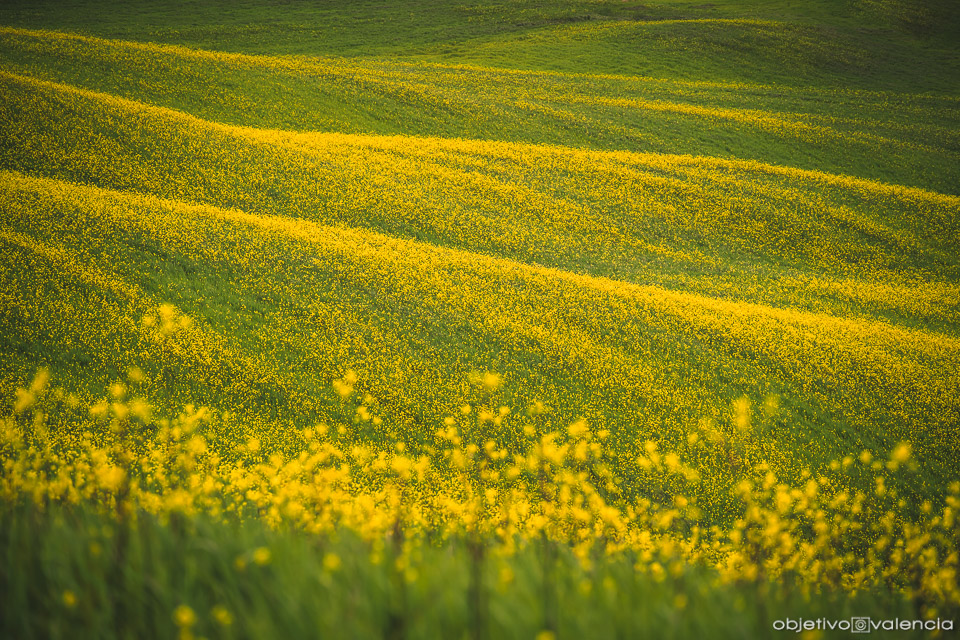 viaje-fotografico-toscana-italia-orcia-13